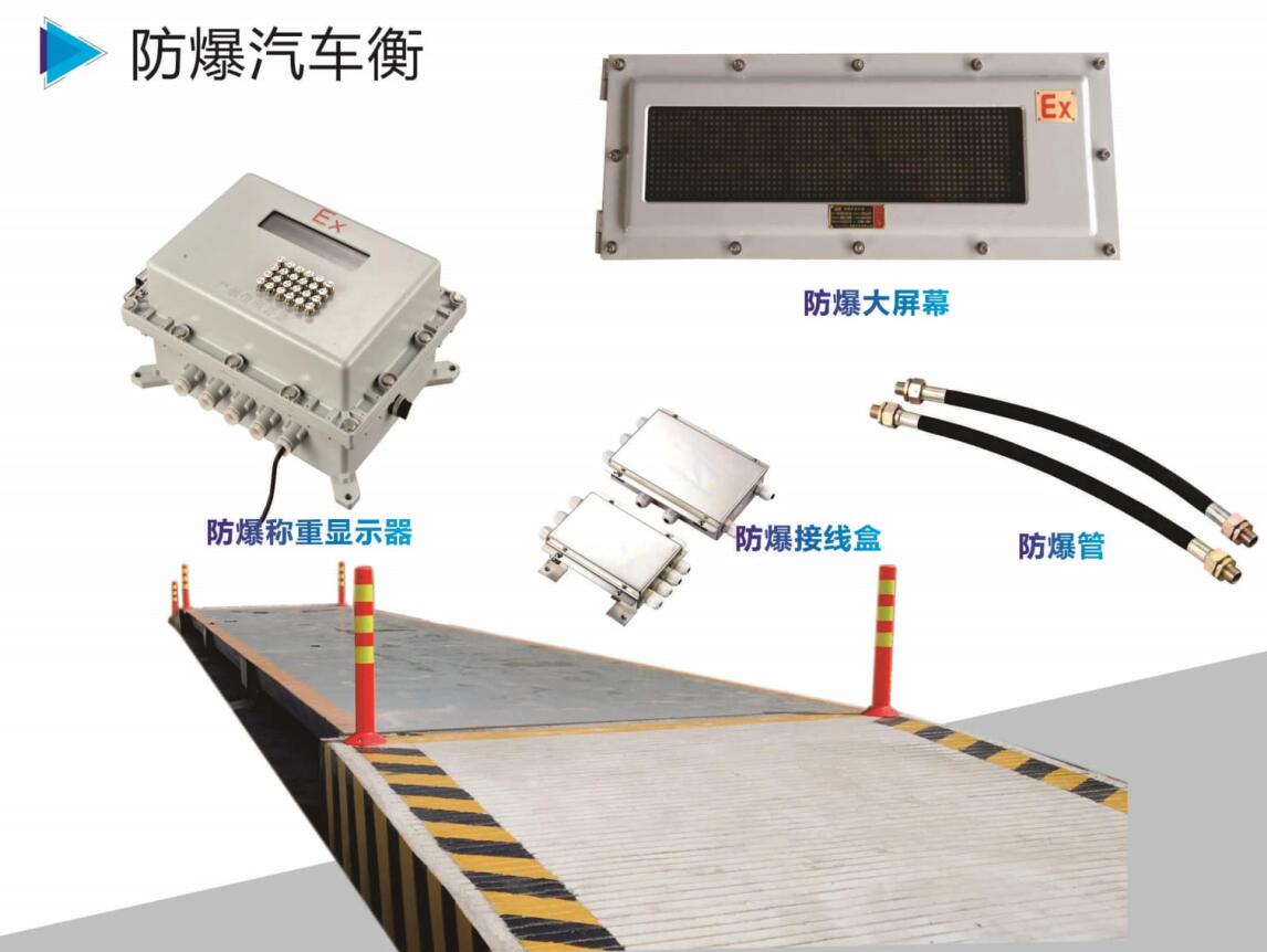 防爆汽车衡地磅